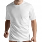 Mobile Preview: R Shirt 1/2 Arm Cotton Sporty Hanro (HAsp3511)