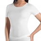 Preview: R Shirt 1/2 Arm Cotton Seamless Hanro (HAcsn1630)
