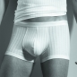 Preview: Panty Swissline Swisscotton ISAbodywear(ISAsl314135)