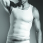 Preview: A Shirt Athlet Swissline Swisscotton ISAbodywear(ISAsl314136)
