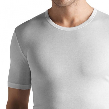 R Shirt 1/2 Arm Cotton Pure Hanro (HAcp3663)