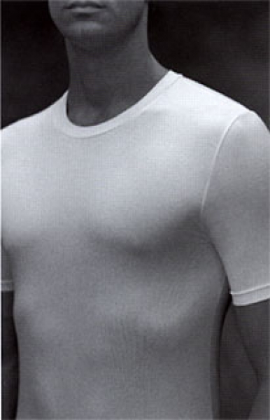 R Shirt Cotton Stretch Hanro (HAcs3821a)