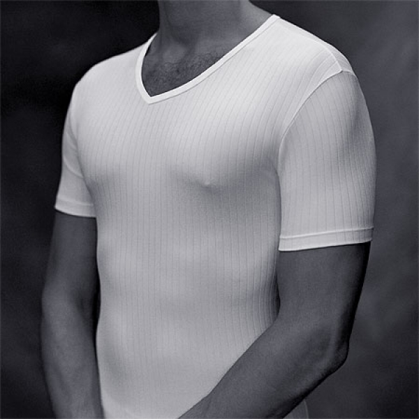 V Shirt Emotion Hanro (HAem4307a)