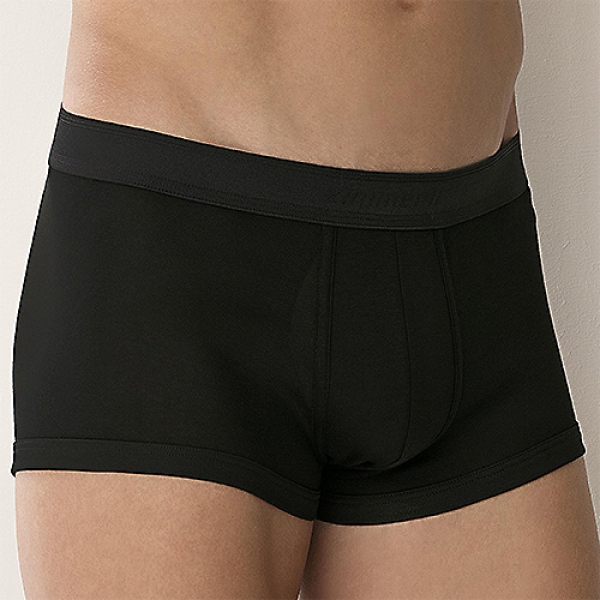 Pant mit Logobund ohne Eingriff Business Class New Zimmerli (ZIbu2221475)